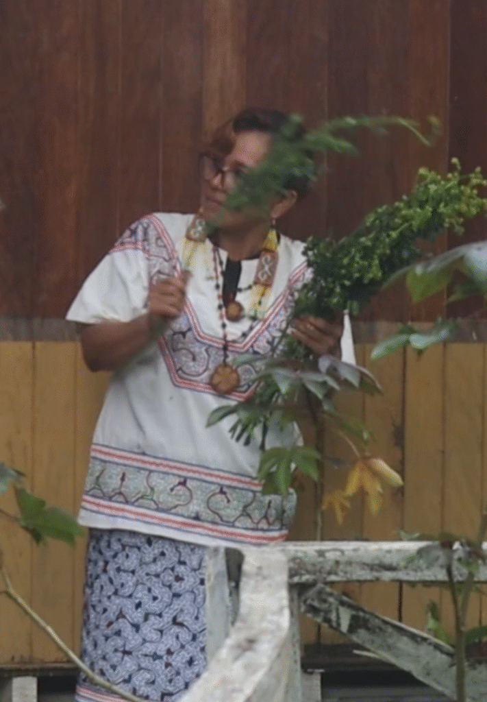 soins tradi 1 soins tradi 1